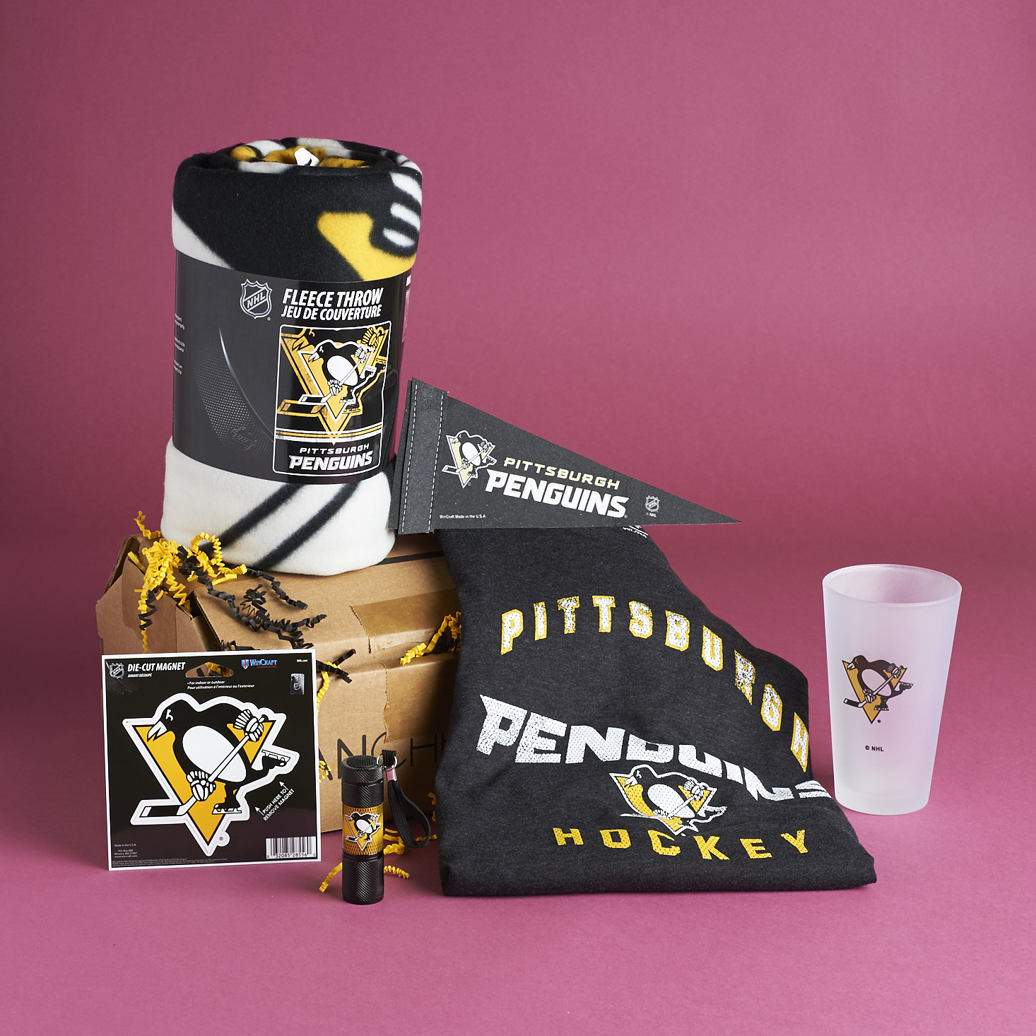 Pittsburgh Penguins Fanchest Box Review + Coupon – April 2017