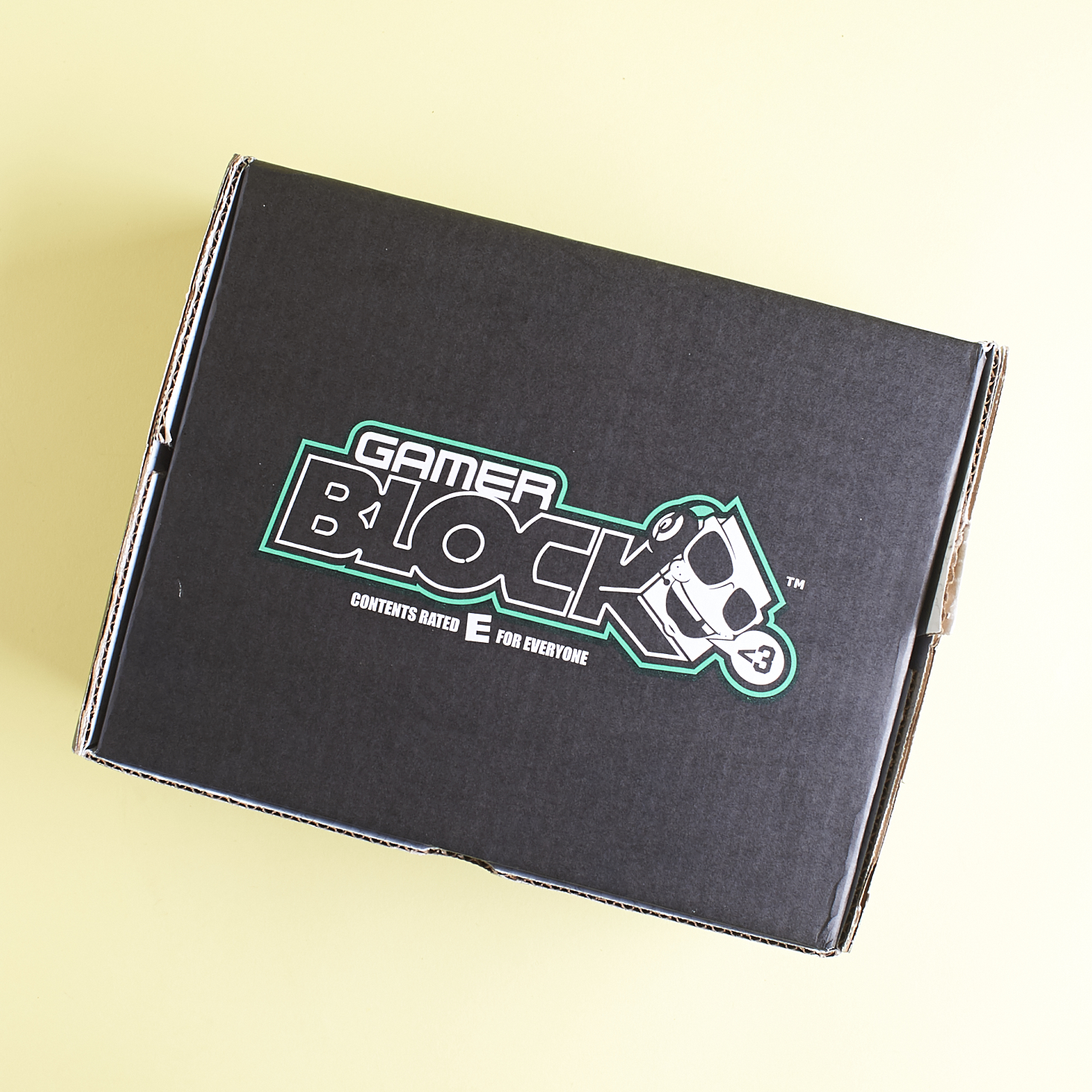 Gamer Block: E For Everyone Subscription Box Review + Coupon – March 2017