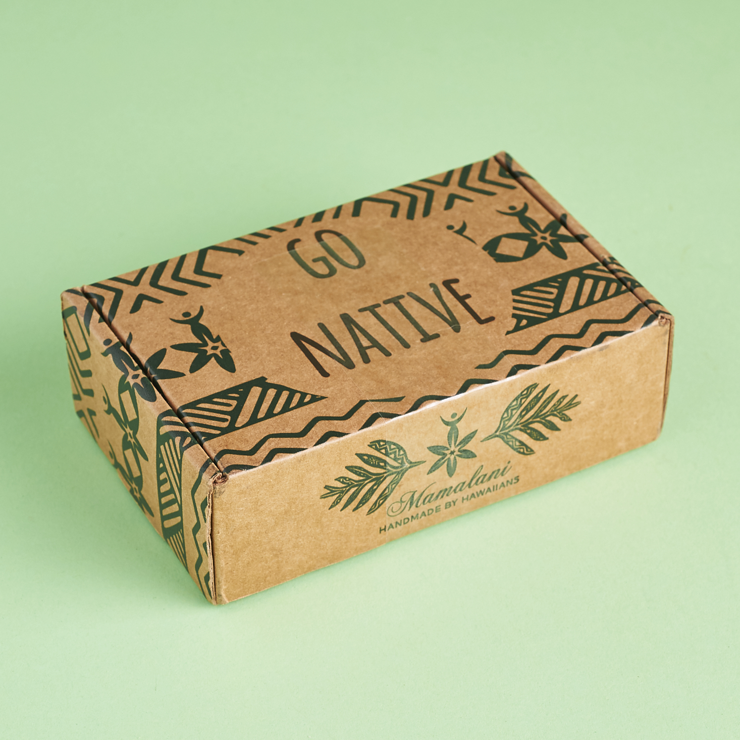 Go Native! Hawaiian Beauty Box Review – April 2017