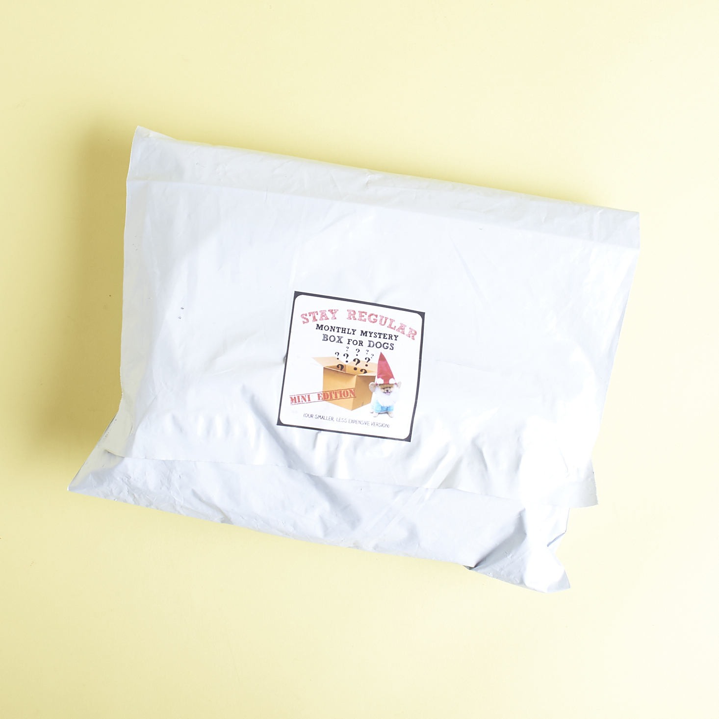 Monthly-mystery-box-for-dogs-mini-march-2017-0001