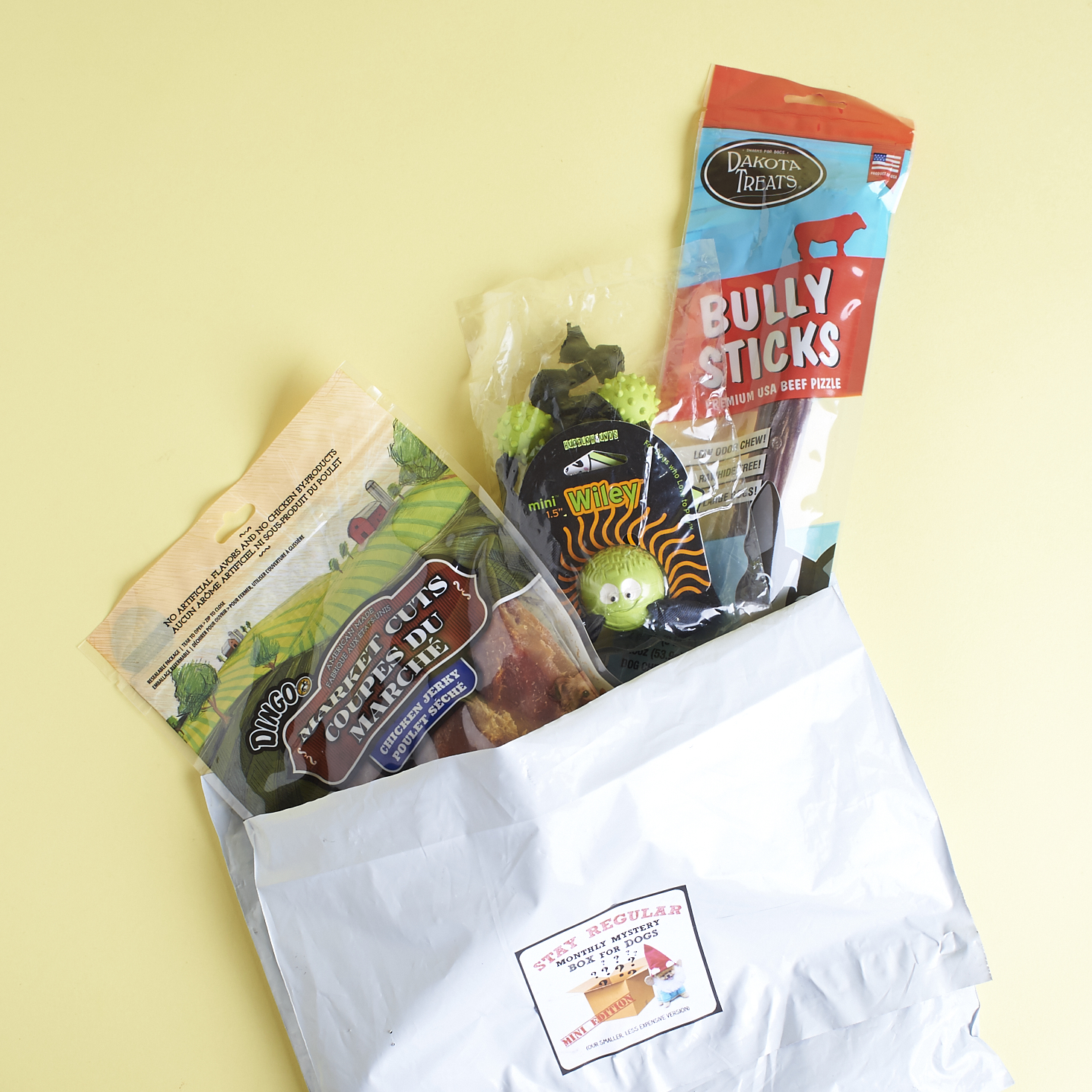 Monthly-mystery-box-for-dogs-mini-march-2017-0002