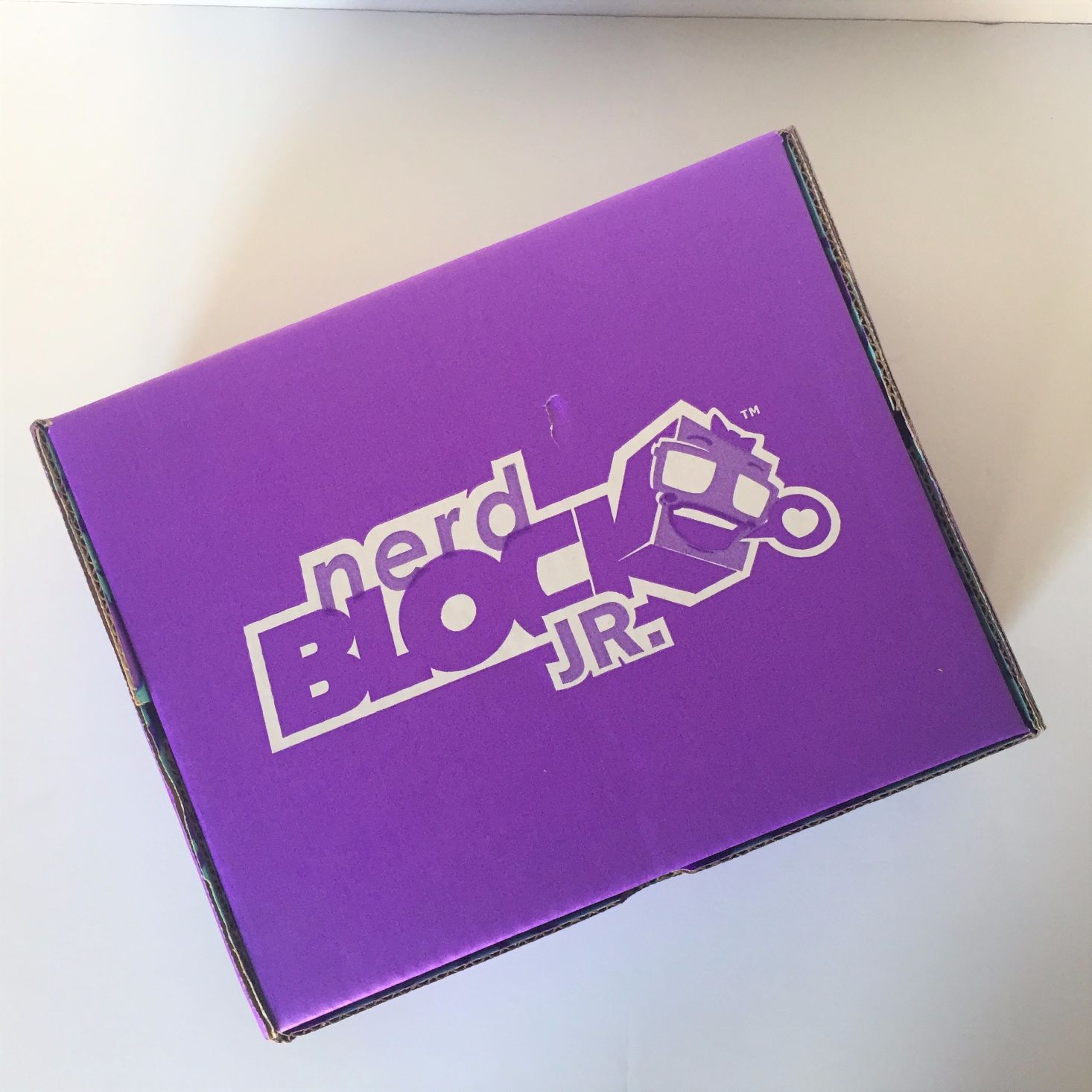 Nerd Block Jr. Girls Box Review + Coupon – April 2017