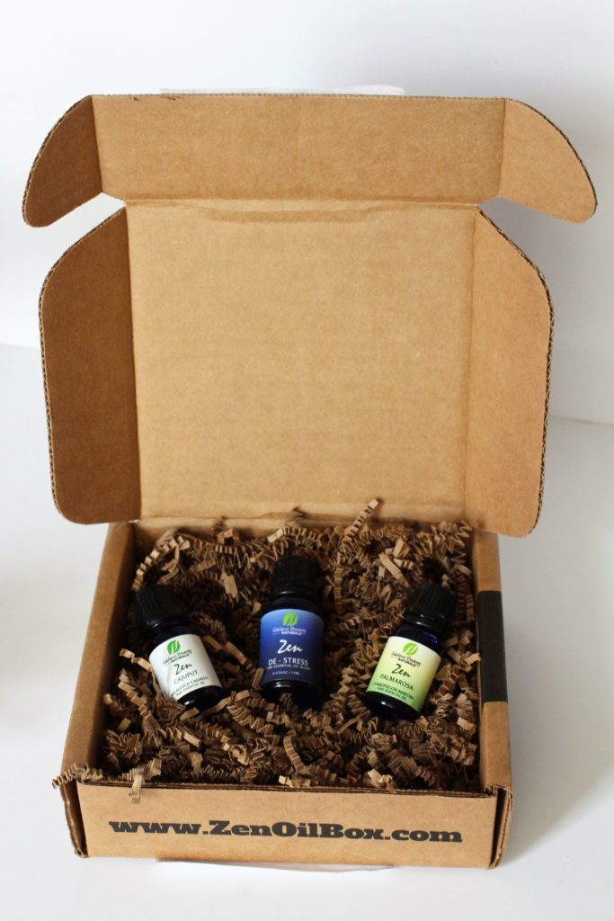 Zen Box Subscription Box Review + Coupon April 2017 MSA