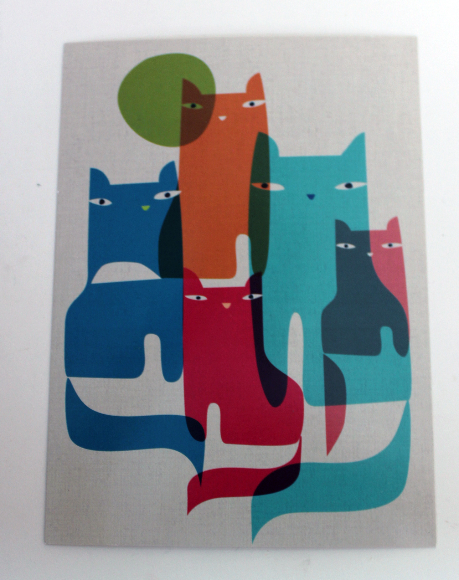cat-lady-box-april-2017-booklet-front