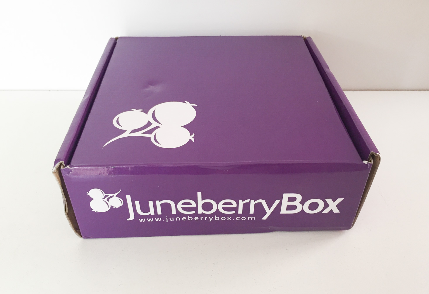 Juneberry Subscription Box Review + Coupon – April 2017