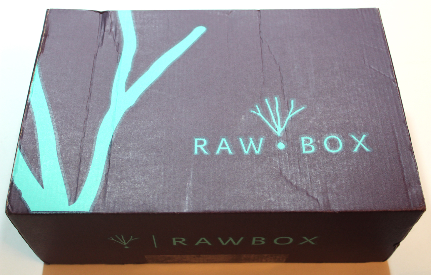 RawBox Subscription Box Review + Coupon – Spring 2017