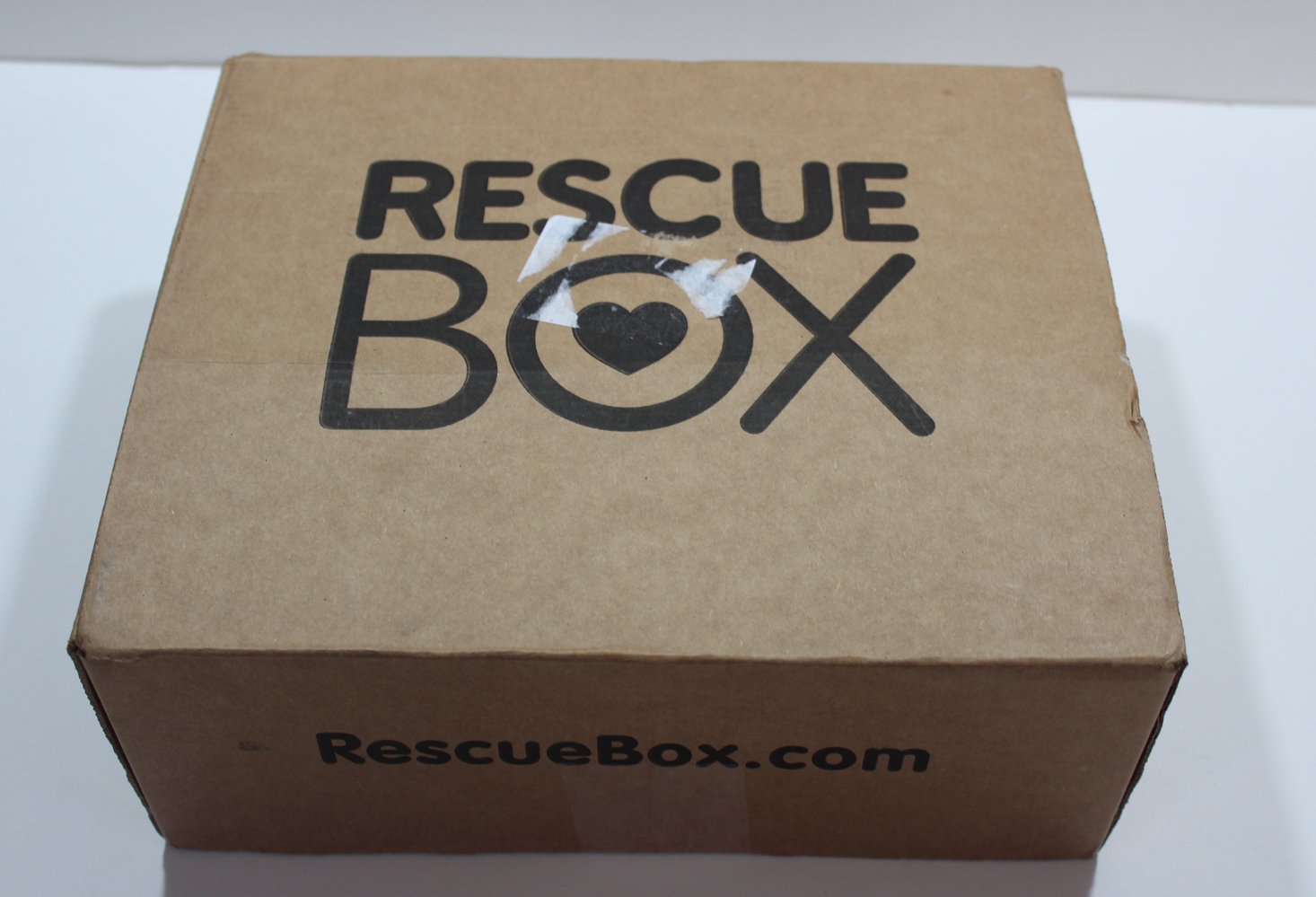 RescueBox Dog Subscription Box Review – April 2017