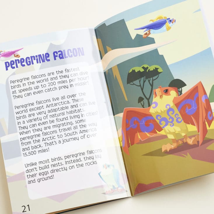 Animal Jam May 2017 Subscription Box: Detail of Nature GUide showing info about the Peregrine Falcon