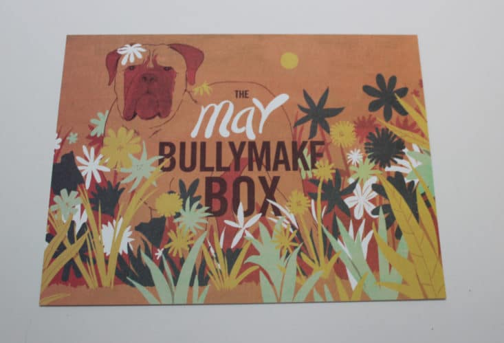 Bullymake Dog Subscription Box - May 2017