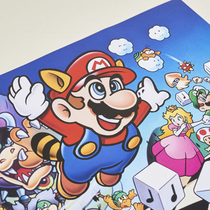 Nerd Block: Gamer Block: E For Everyone - April 2017 - Super Mario Bros. 3 Poster Details