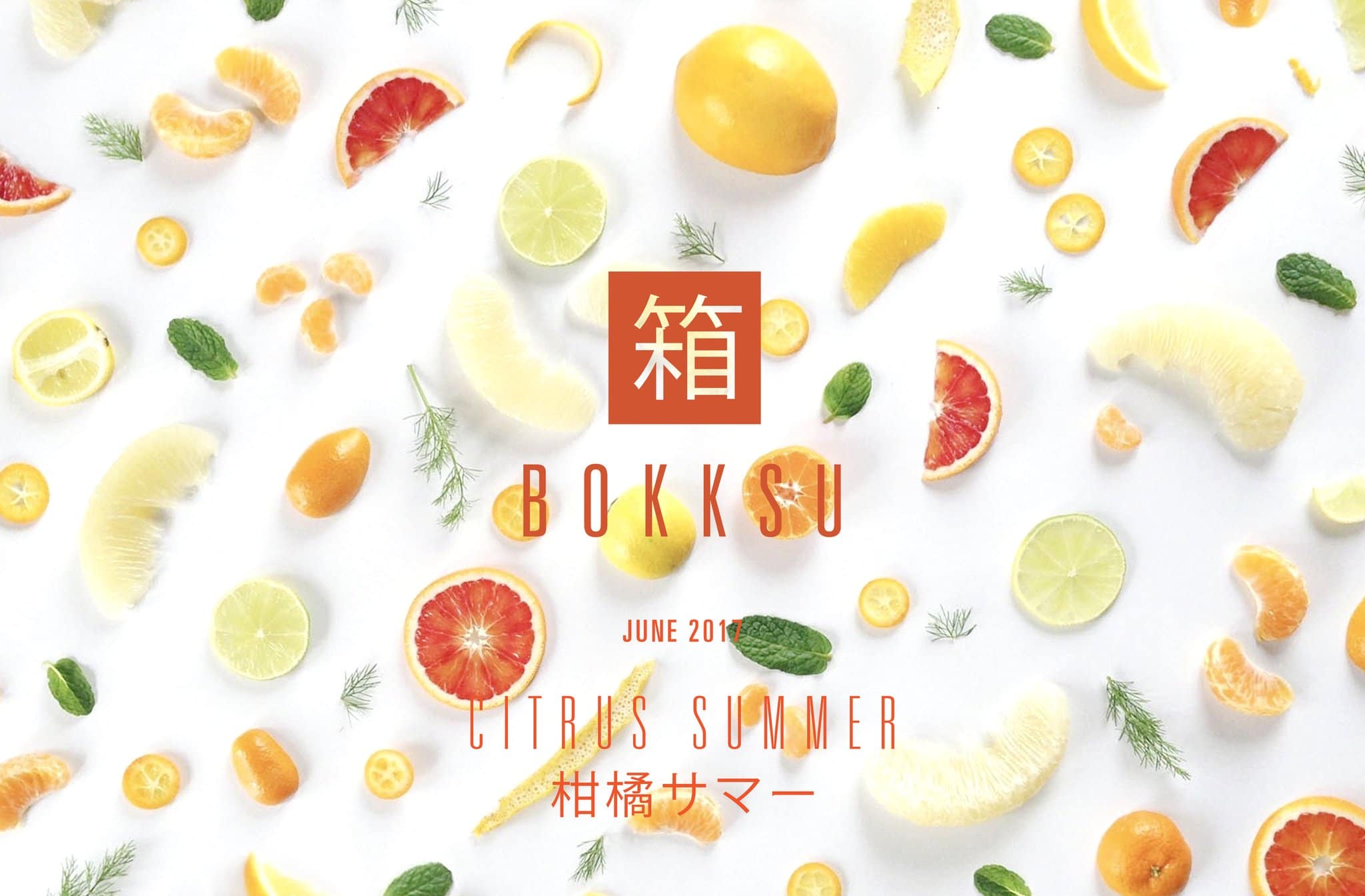 Bokksu June 2017 Spoilers + Coupon!