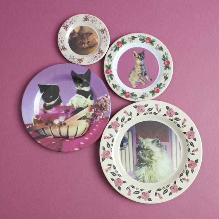 Loot Crate Harry Potter Wizarding World May 2017 - The Dark Arts - Professor Umbridge cat plates