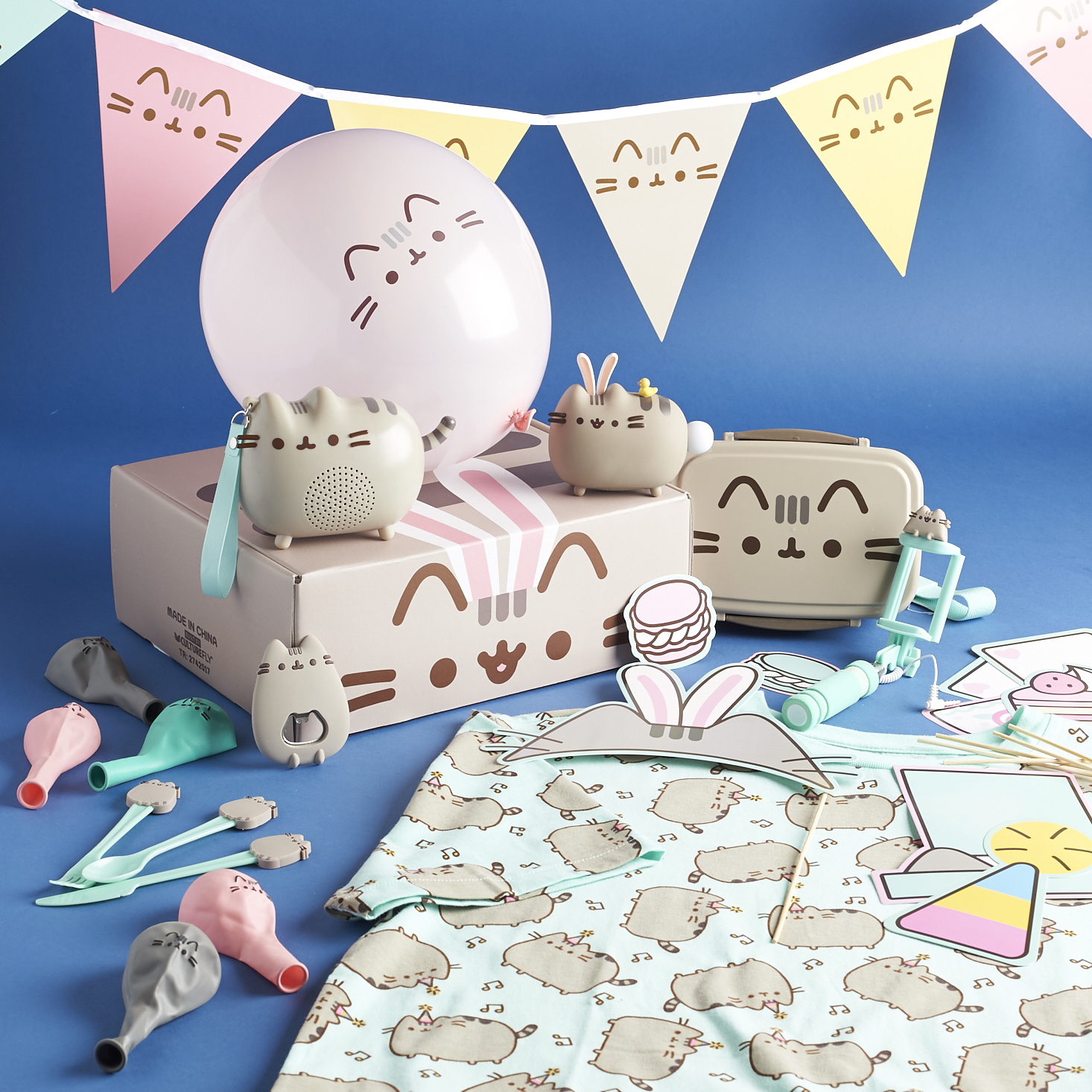 Pusheen-box-april-2017-0005