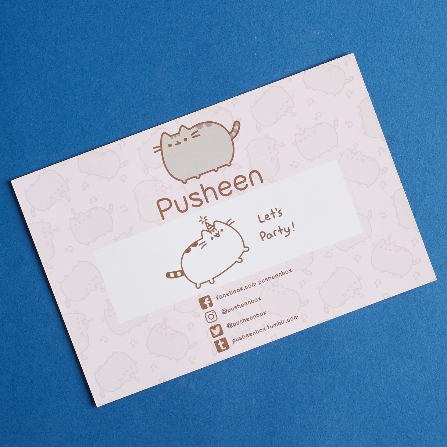 Pusheen-box-april-2017-0007