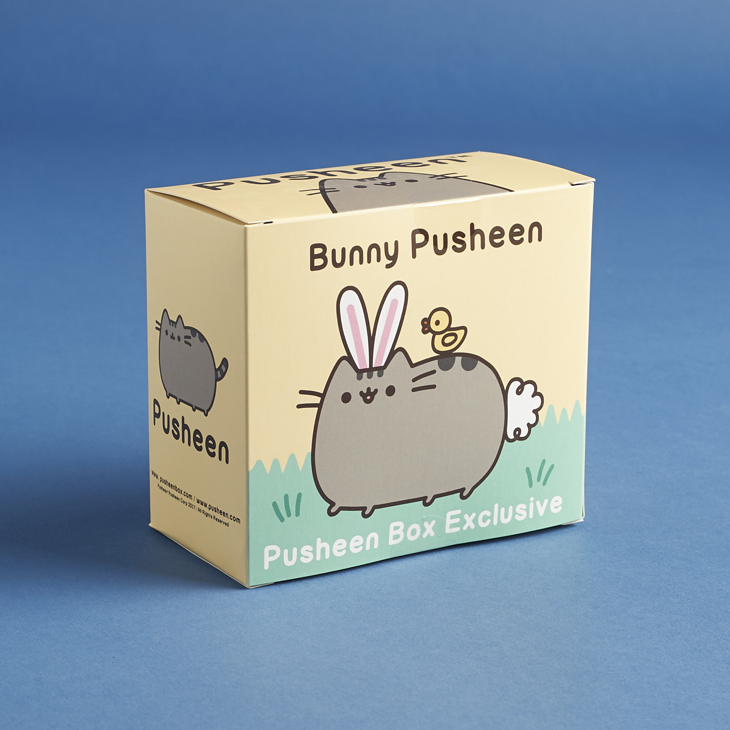 Pusheen-box-april-2017-0009