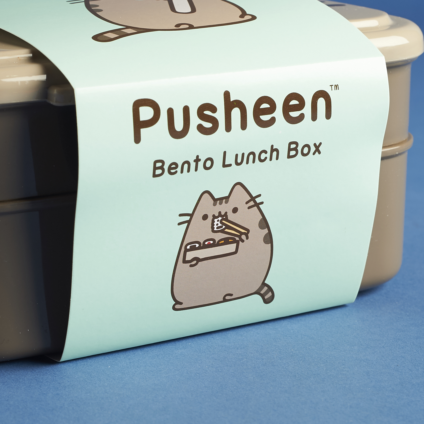 Pusheen-box-april-2017-0018