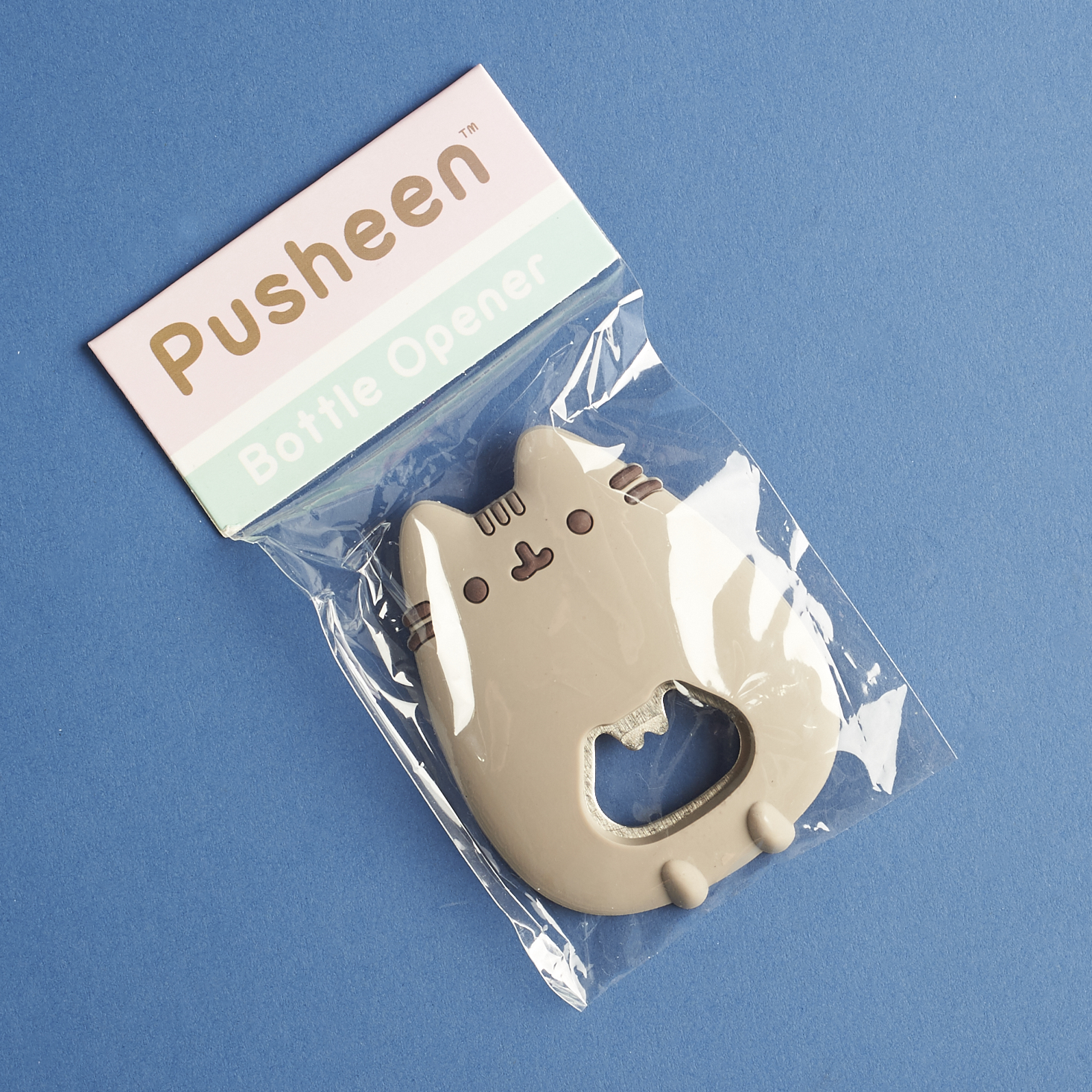 Pusheen-box-april-2017-0022