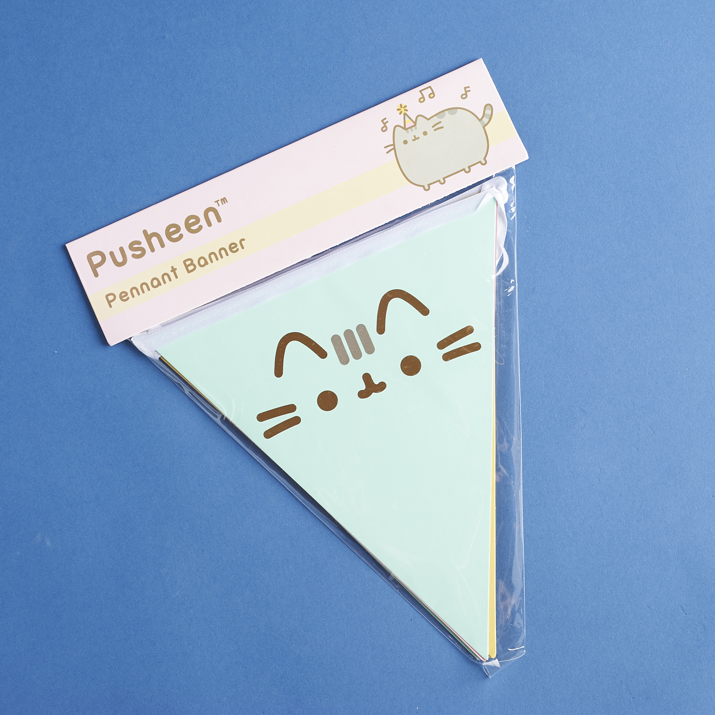 Pusheen-box-april-2017-0045