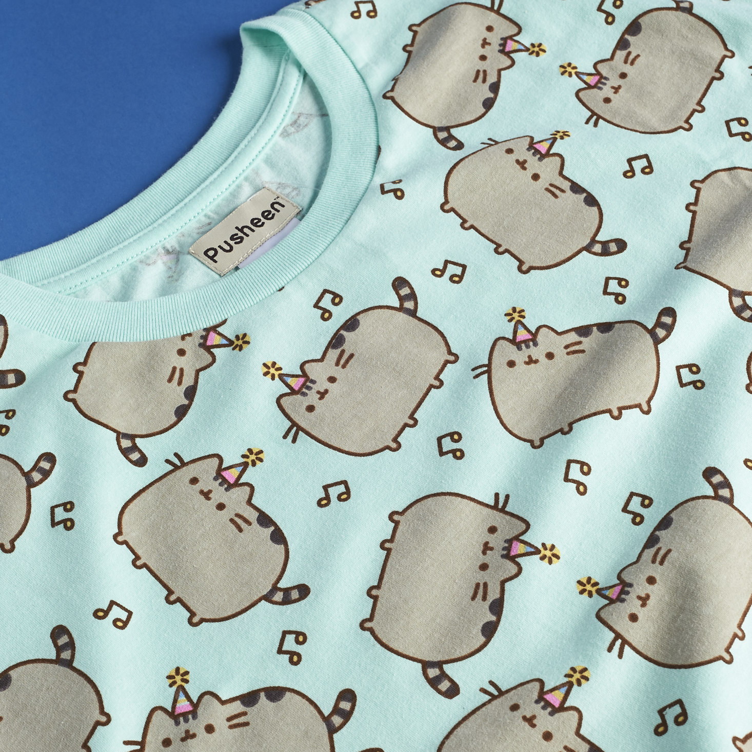 Pusheen-box-april-2017-0049