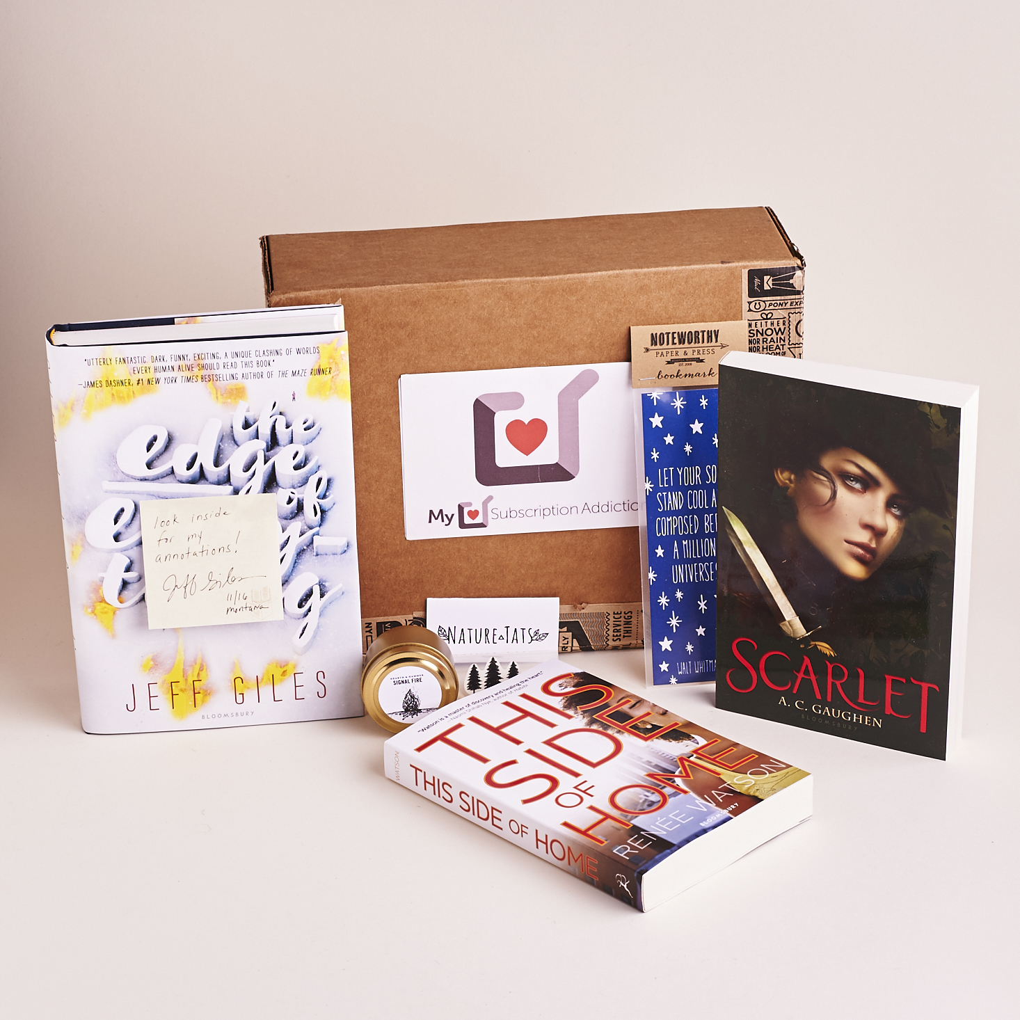 Quarterly Literary YA Subscription Box Review #LYA03