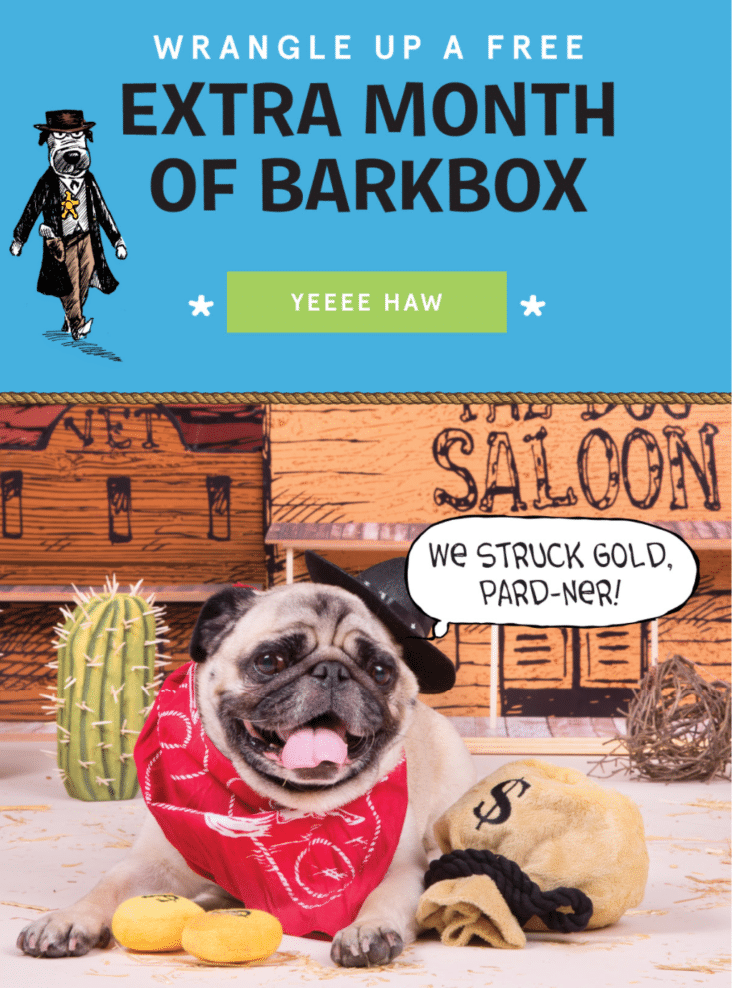 BarkBox