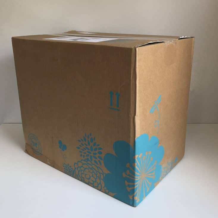 Honest Company Diapers & Wipes Subscription Review May 2017: Photo of outside of box