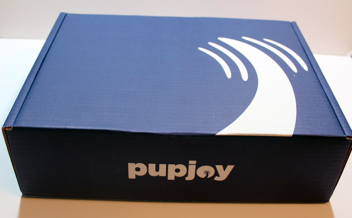 Pupjoy Dog Subscription Box Review + Coupon – May 2017