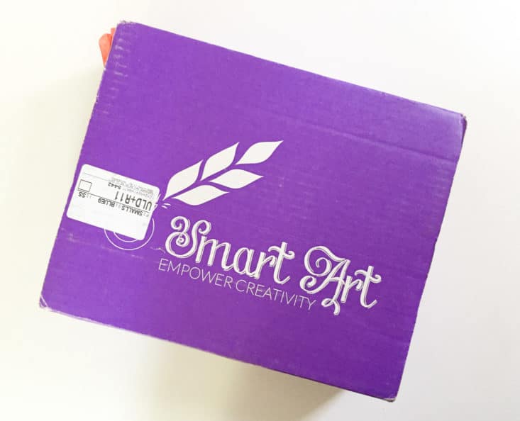 Smart Art DIY Subscription Box - Make a Cast - May 2017