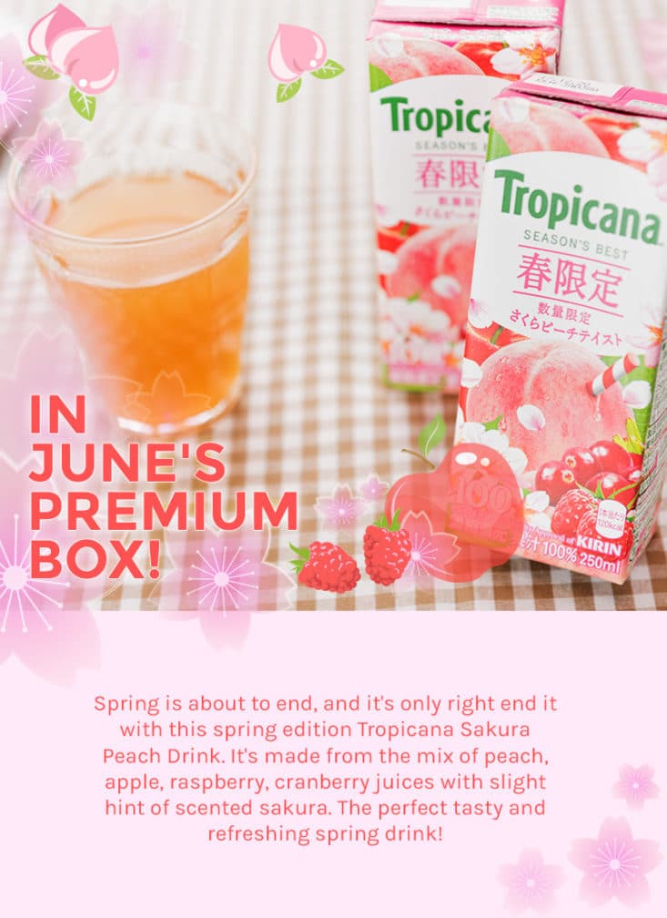TokyoTreat June 2017