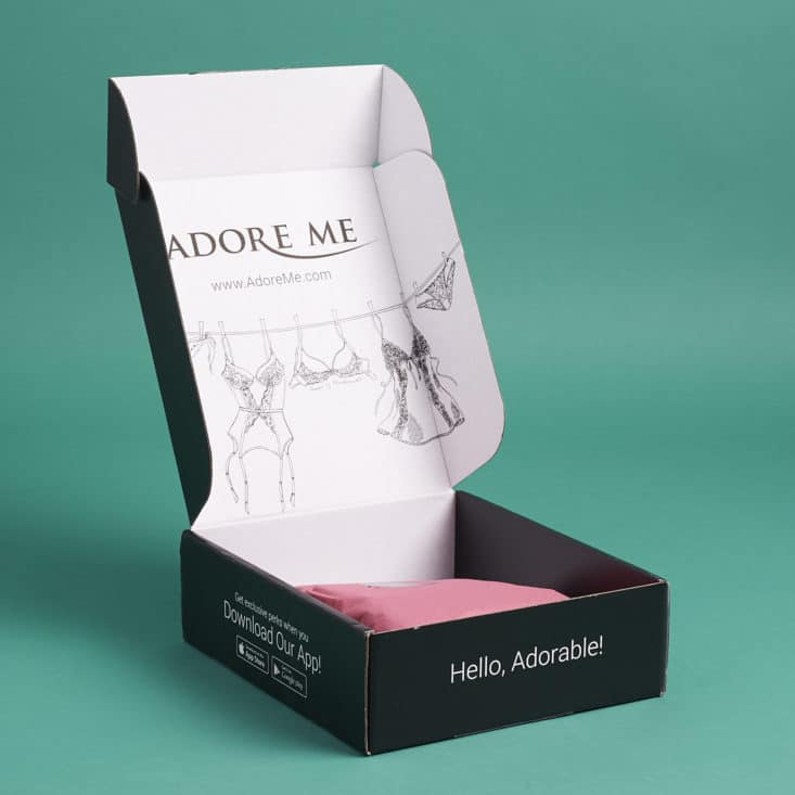 Check out my review of the Adore Me lingerie subscription for June 2017!