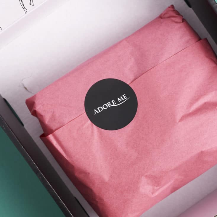 Check out my review of the Adore Me lingerie subscription for June 2017!