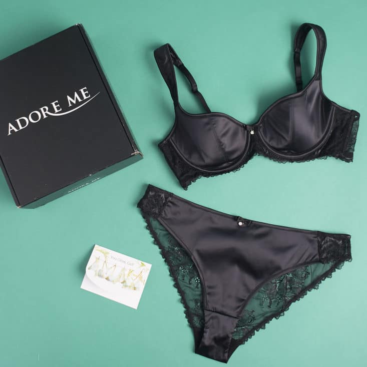 Check out my review of the Adore Me lingerie subscription for June 2017!