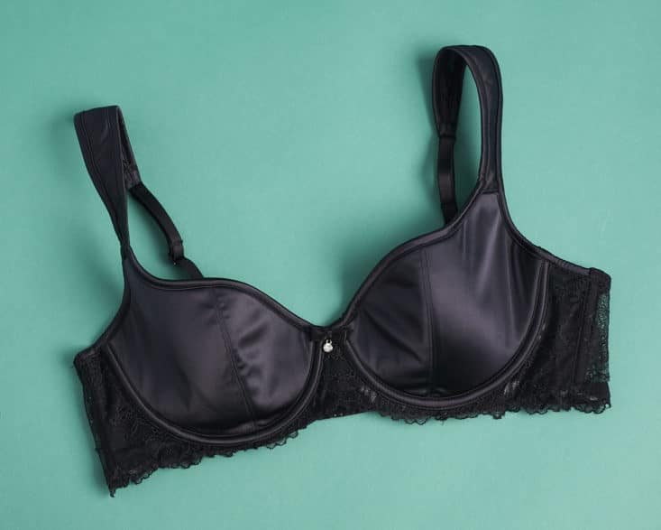 Check out my review of the Adore Me lingerie subscription for June 2017!