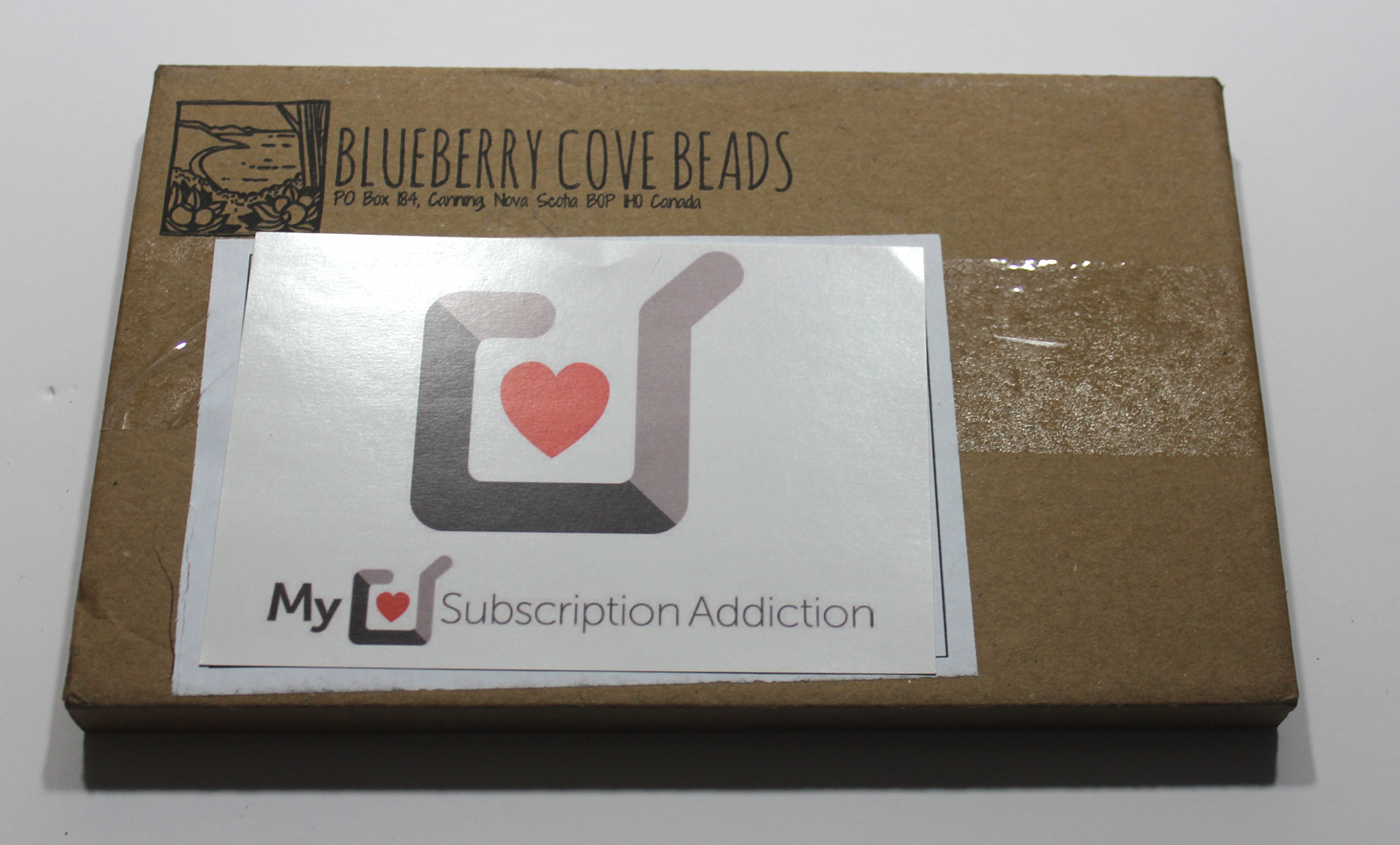 Blueberry Cove Beads Subscription Box Review – June 2017