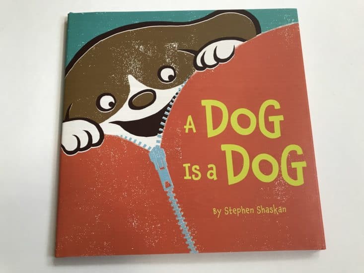 Bookroo June 2017 Kids Book Subscription Box