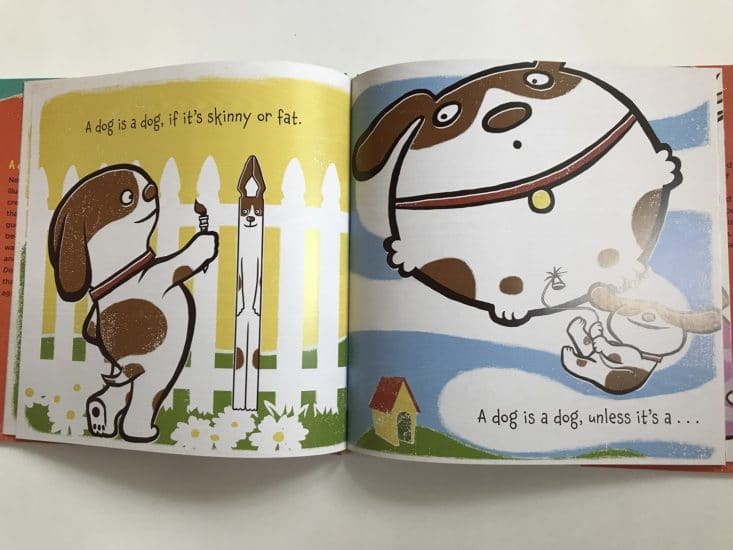 Bookroo June 2017 Kids Book Subscription Box