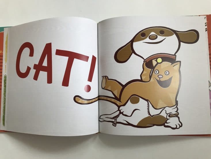 Bookroo June 2017 Kids Book Subscription Box