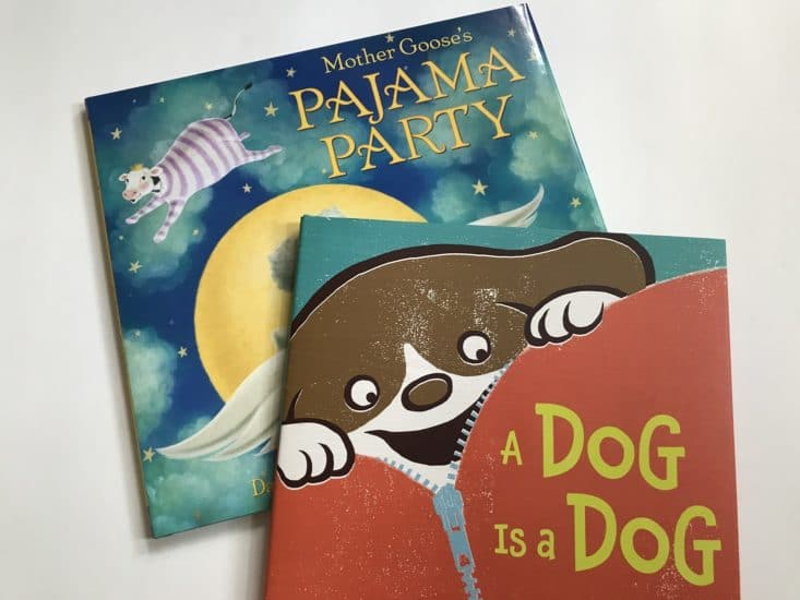 Bookroo June 2017 Kids Book Subscription Box