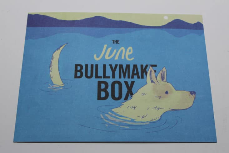 Bullymake Box June 2017 Dog Subscription