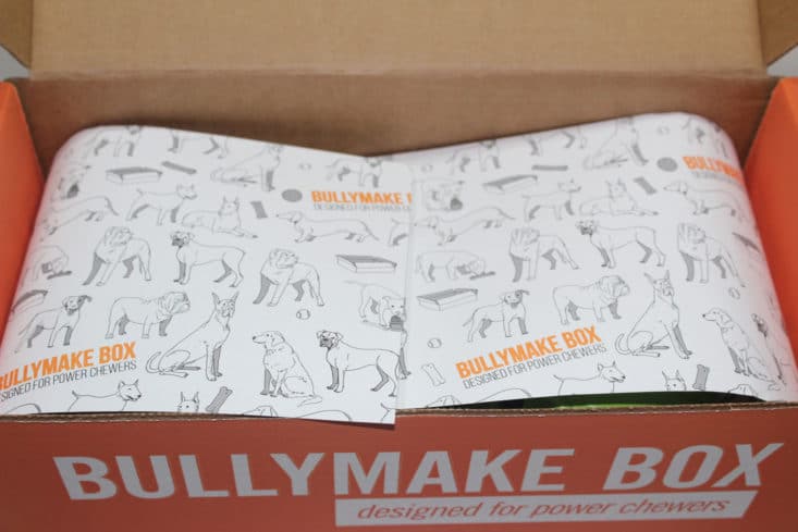 Bullymake Box June 2017 Dog Subscription