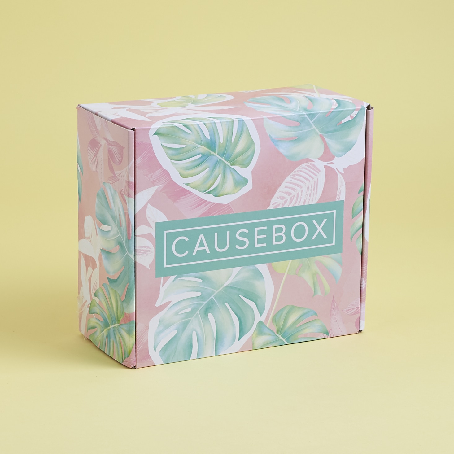 CAUSEBOX Summer 2017 Subscription Box Review + $10 Coupon