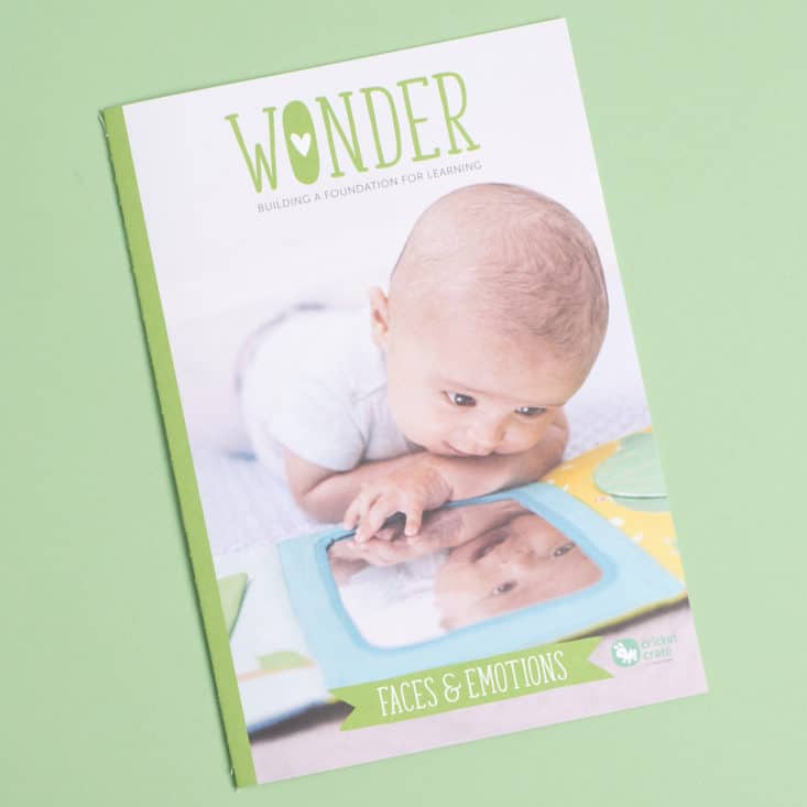 Cricket Crate Newborn Pack Box 3 of 3 - Wonder Magazine