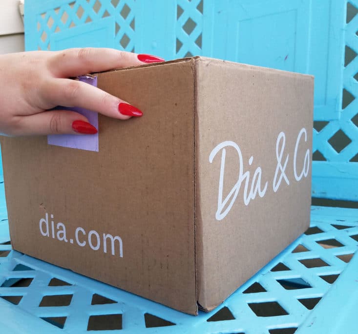 Dia and Co June 2017 Plus Clothing Subscription Box