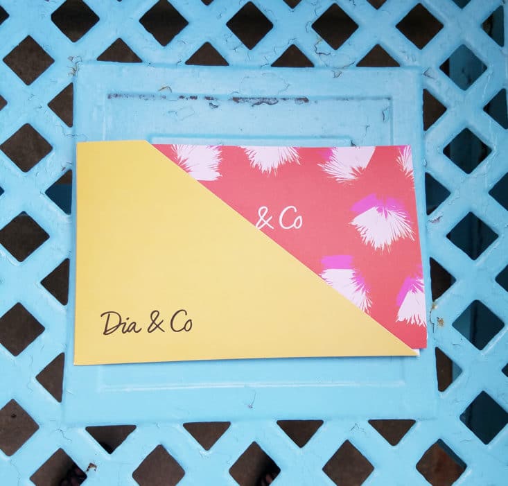 Dia and Co June 2017 Plus Clothing Subscription Box