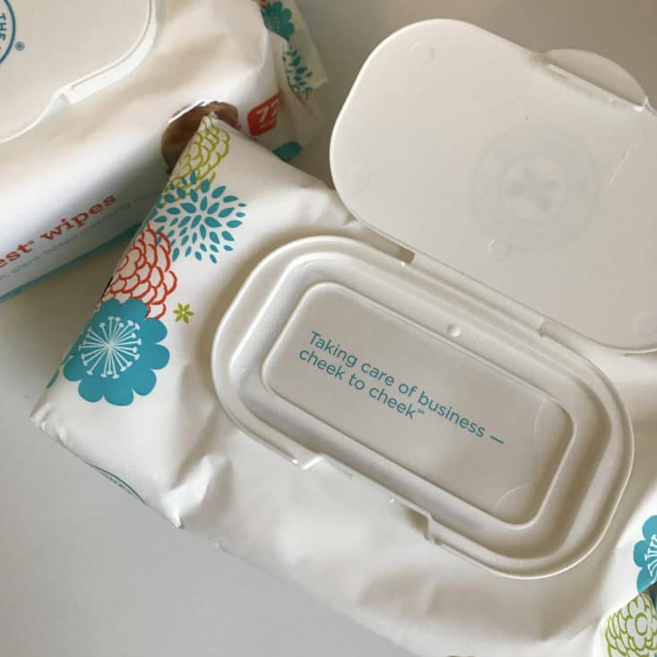 Honest Company Diapers & Wipes Bundle Review - June 2017 - Wipes