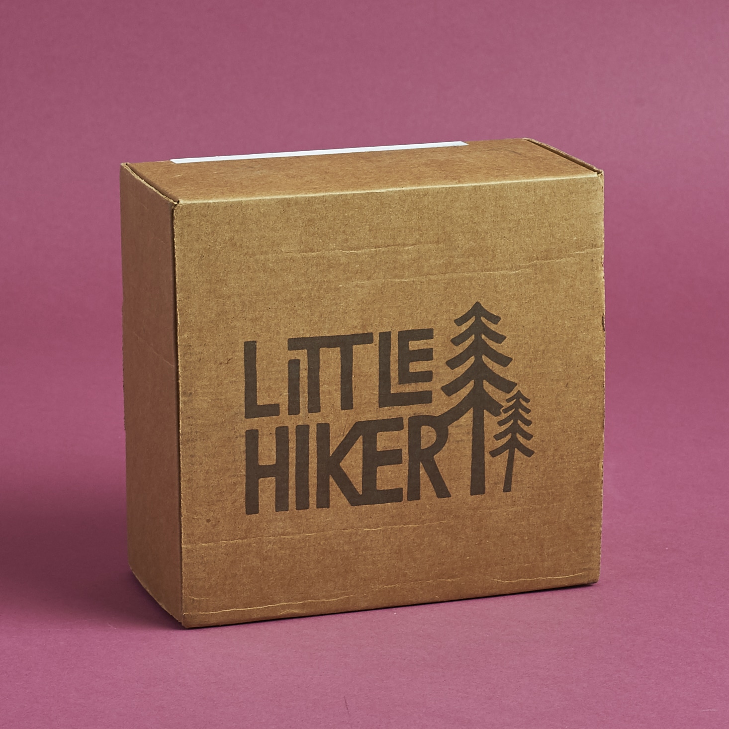 Little Hiker Subscription Box Review – June 2017