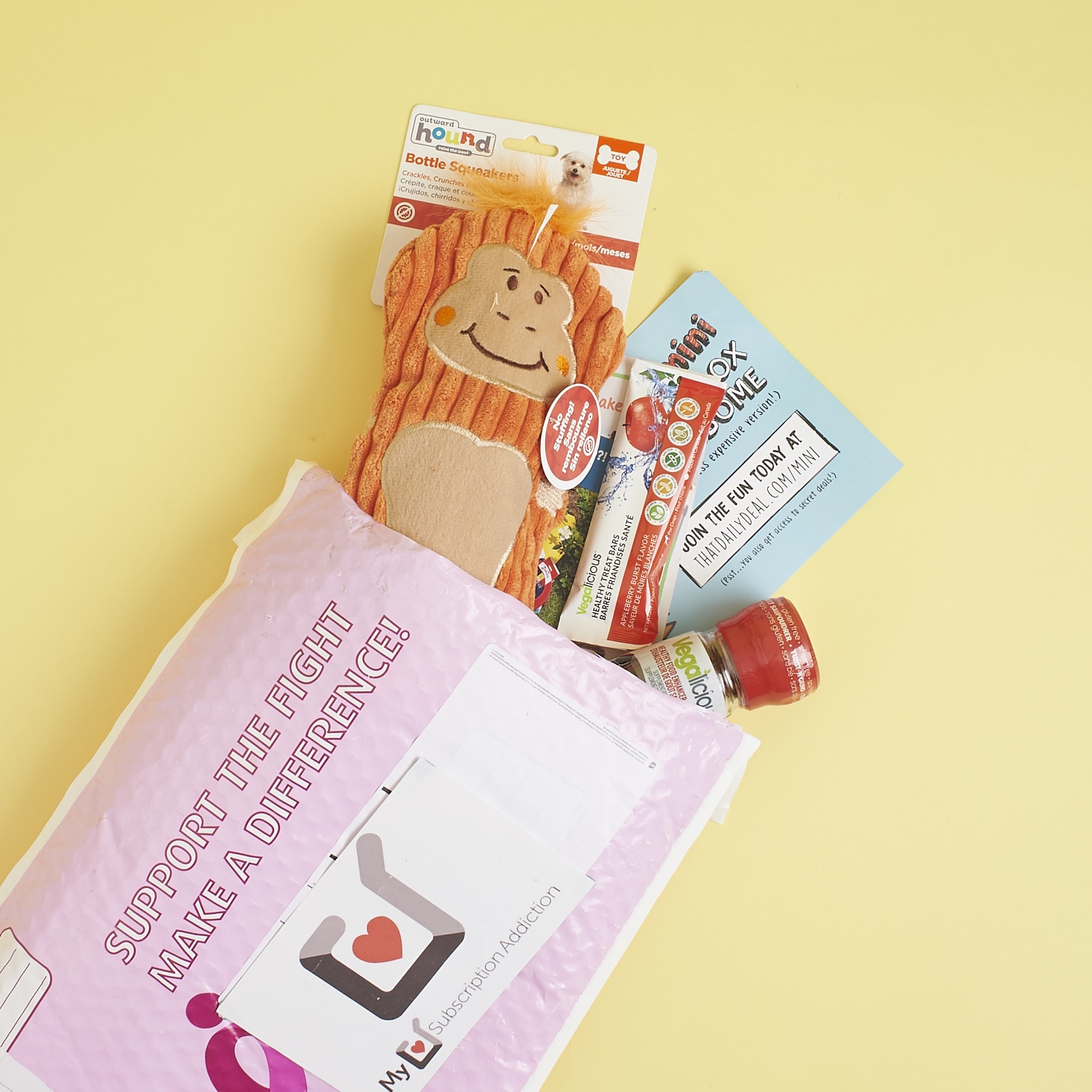 Mini Monthly Mystery Box For Dogs Subscription Review – June 2017