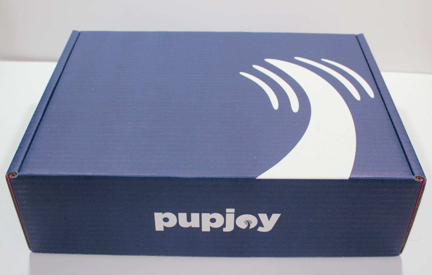 Pupjoy Dog Subscription Box Review + Coupon – June 2017