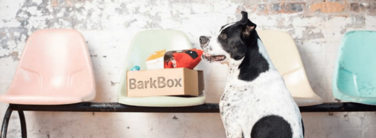 Barkbox 