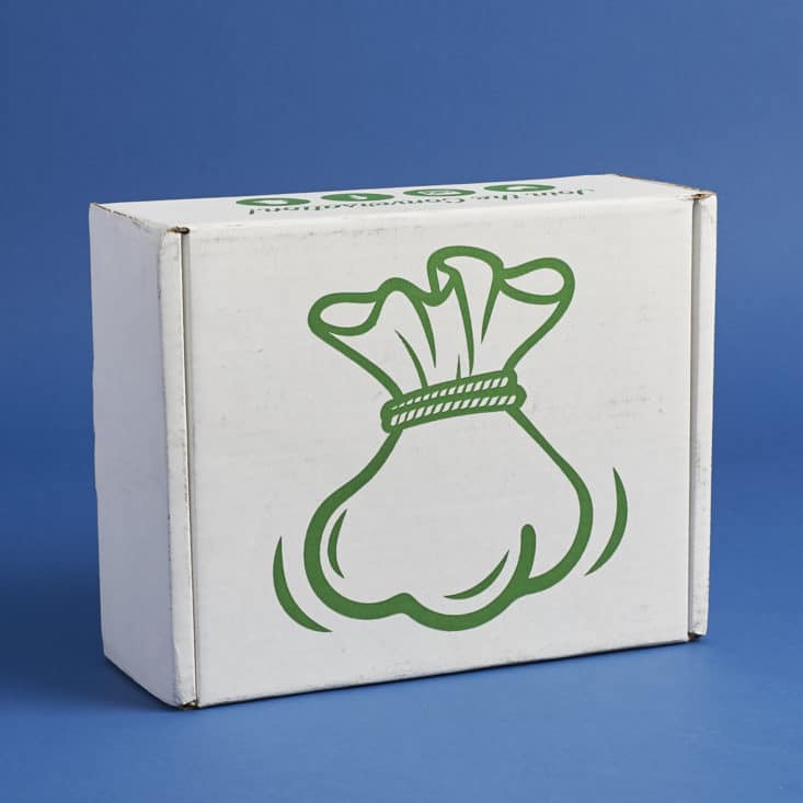 SnackSack May 2017 Box